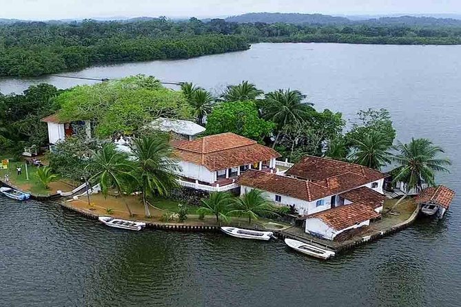 Madu River Boat Safari Balapitiya - Fish Foot Massage at the Fish Pedicure Pond: Fun, Weird, and Worth Trying