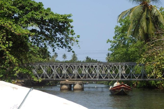 Madu River Boat Safari Balapitiya - Price and Value: Is $29 Worth It?