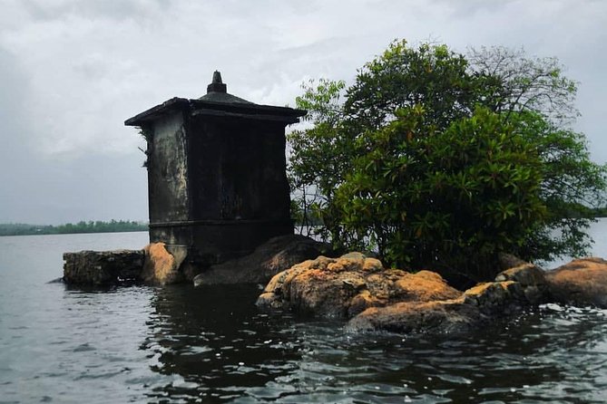 Madu River Boat Safari Balapitiya - Timing, Weather, and What to Wear