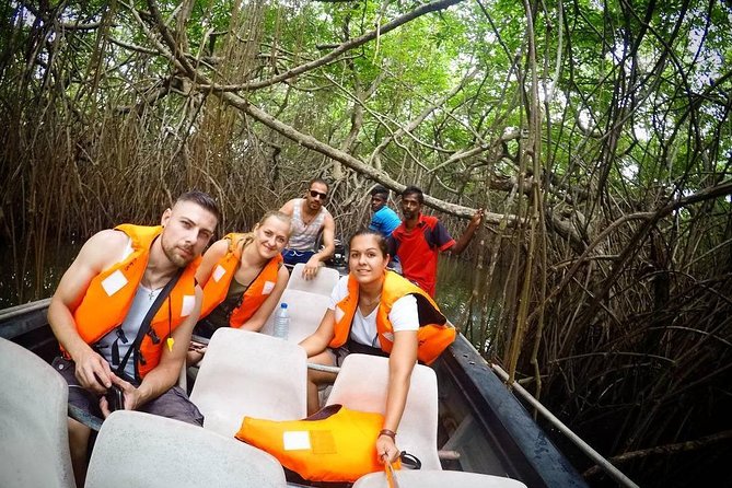 Madu River Boat Safari Balapitiya - Wildlife Spotting on the Madu: What You Can Realistically Aim For