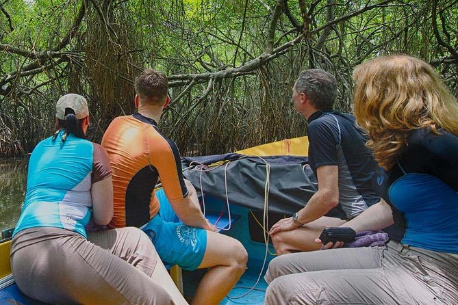 Madu River Safari at Balapitiya - Madu Ganga boat safari: what 1.5 hours on the water is really like