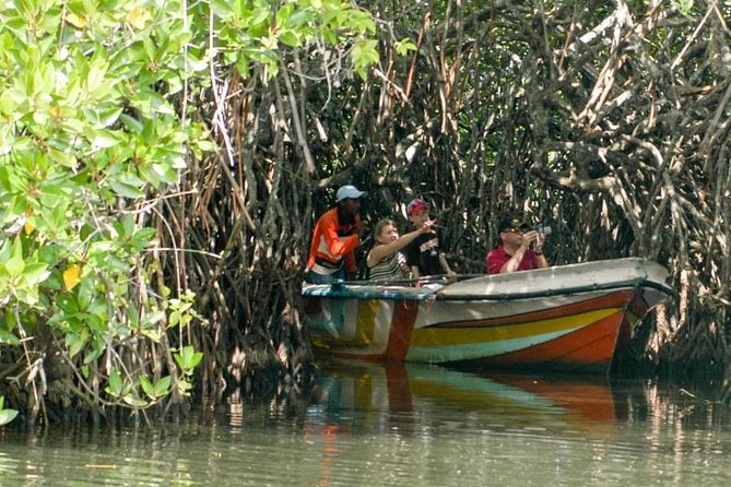 Madu River Safari at Balapitiya - Cinnamon Island: how the smell, demo, and tea fit together