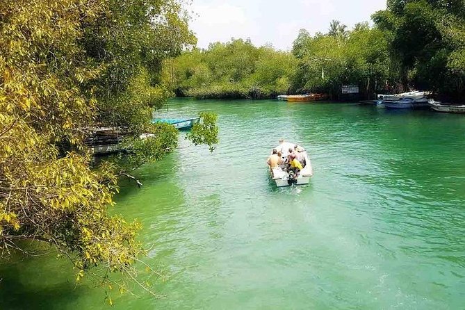 Madu River Safari at Balapitiya - What to wear and bring for a comfortable mangrove safari