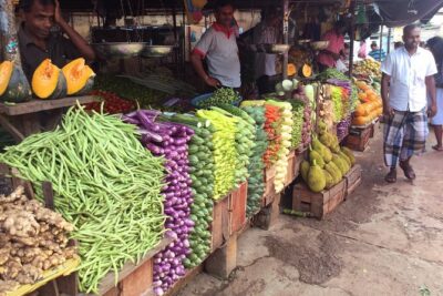 Market Tour and Cooking Class from Colombo - Studio time: turning what you bought into breadfruit curry and a main