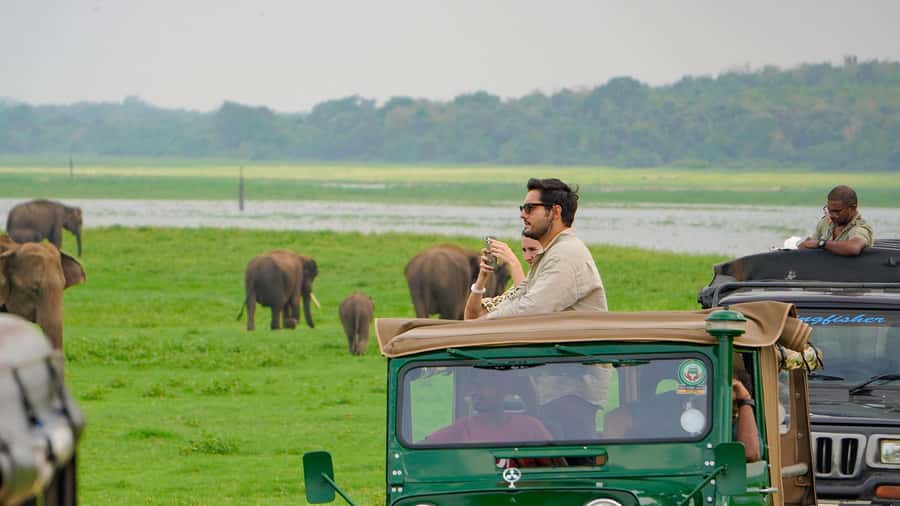 Minneriya: Minneriya National Park Private Evening Safari - Key things to watch for in Minneriya after midday
