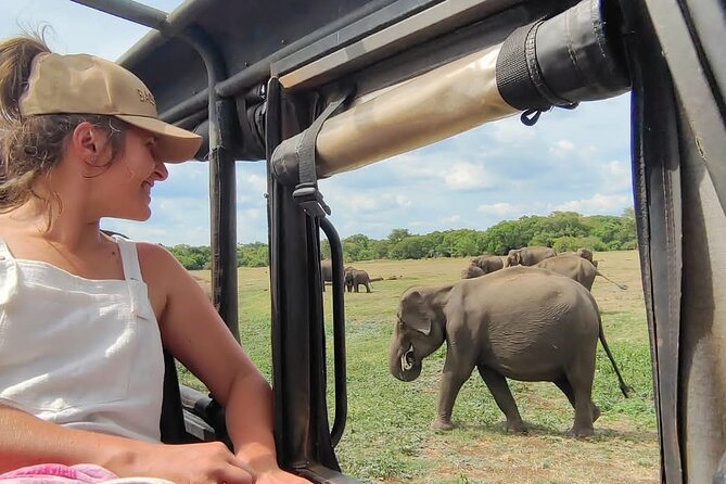 Minneriya National Park Elephant Jeep Safari Private Tour - Key highlights to know before you go