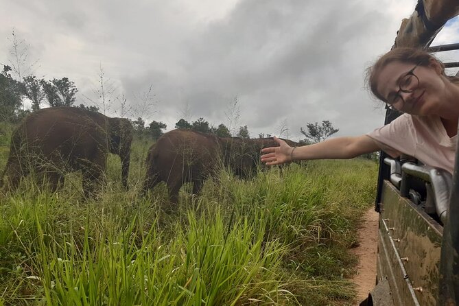 Minneriya National Park Elephant Jeep Safari Private Tour - Minneriya National Park, and why this safari is the right style