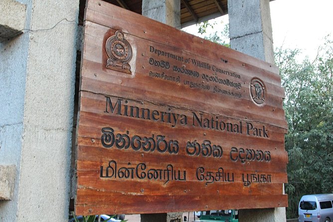 Minneriya National Park : Private Safari - Key takeaways for Minneriya’s elephant safari