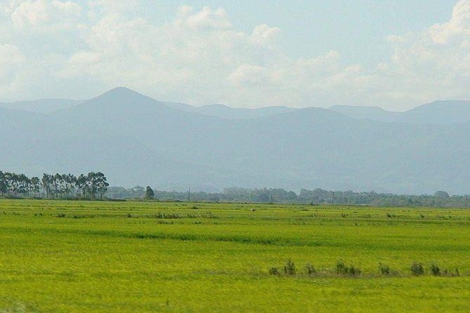 Minneriya National Park : Private Safari - Comfort, Rules, and What to Pack (So You Enjoy the Full 3 Hours)