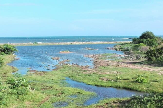 Minneriya National Park Safari | Jeep with Tickets - Minneriya, Kaudulla, and Hurulu: why this safari feels worth it