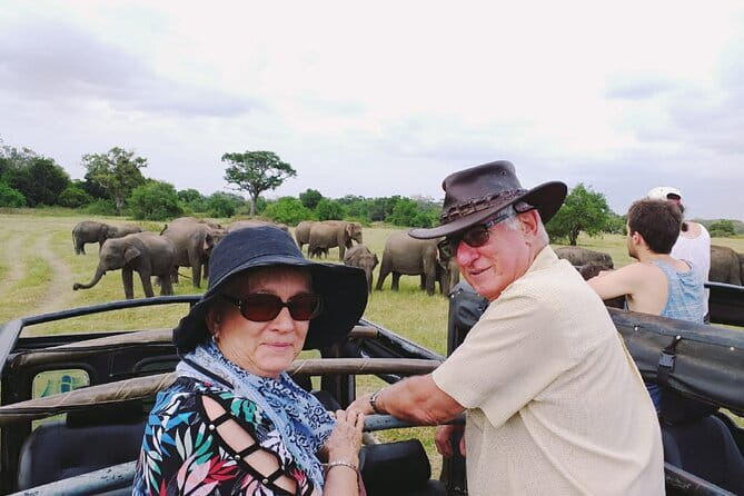 Minneriya National Park Safari [private , full package] - Price and Value: Is $100 per Person Worth It?