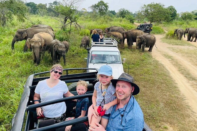 Minneriya National Park Safari - Private Jeep with Hotel Pickup - Key highlights before you go