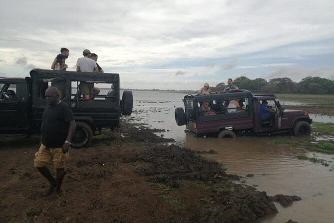 Minneriya National Park Safari - Private Jeep with Hotel Pickup - Price and entrance fees: how to budget the real total
