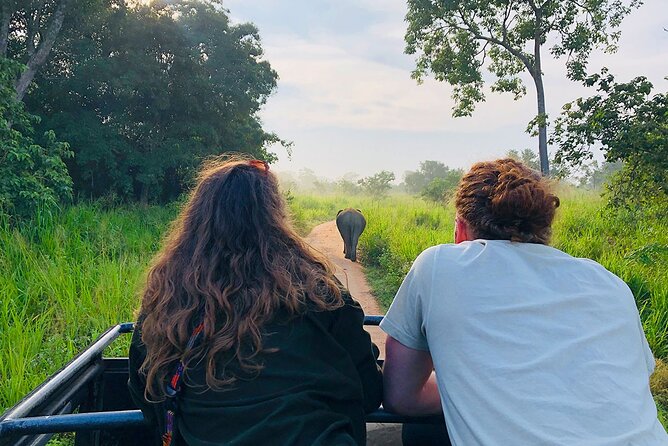 Minneriya National park Safari Sri Lanka - Jeep safari value: is $100 a fair price?