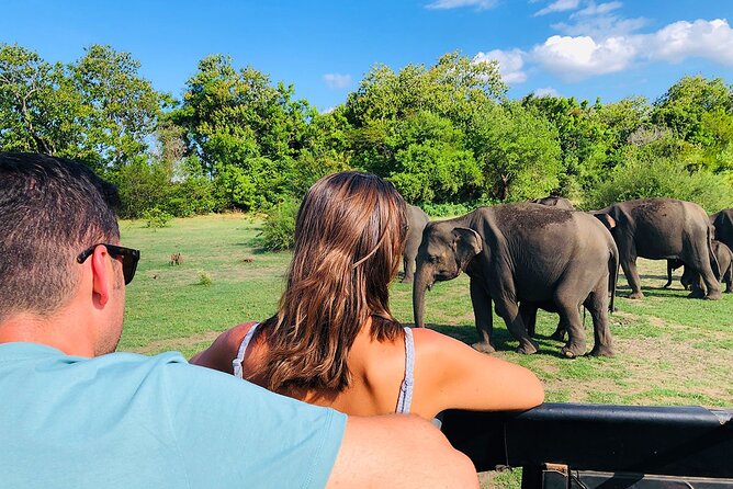 Minneriya National park Safari Sri Lanka - What to expect on the day of your safari