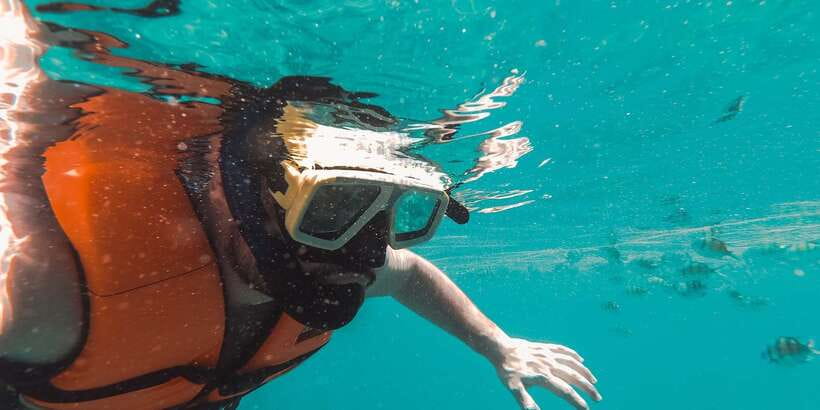 Mirissa: Snorkeling Experience with Turtles - Why Mirissa’s sea turtles turn snorkel time into a memory