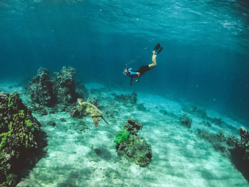 Mirissa: Snorkeling Experience with Turtles - Price and value at about $29: what you’re really paying for