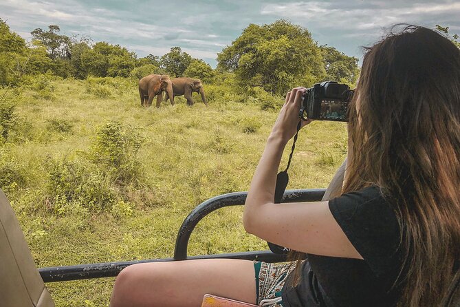 Mirissa to Ella Shuttle & Udawalawe Safari Drive with Breakfast - Breakfast and bottled water: small inclusions that change the whole day