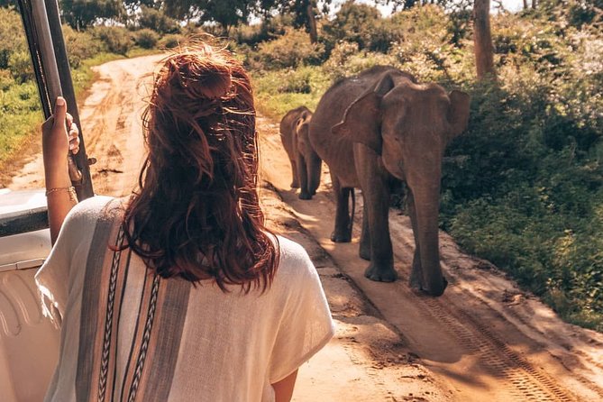 Mirissa to Ella Shuttle & Udawalawe Safari Drive with Breakfast - Price and park fees: when $75 makes sense