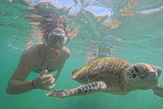Mirissa Unforgettable Snorkeling Experience with Turtles - Turtle Snorkeling Off Mirissa: What You’re Really Buying
