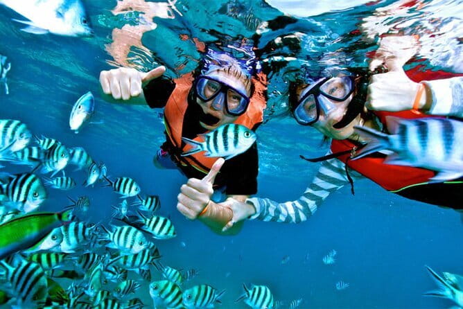 Mirissa Unforgettable Snorkeling Experience with Turtles - Should You Book This Turtle Snorkeling in Mirissa?