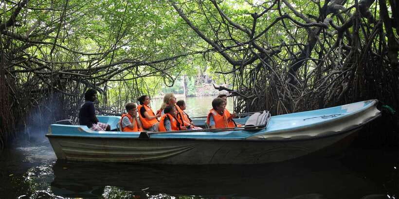 Mirissa/Weligama/Galle: Galle & Bentota Coastal Day Tour - Who This Tour Suits Best (And Who Should Skip It)