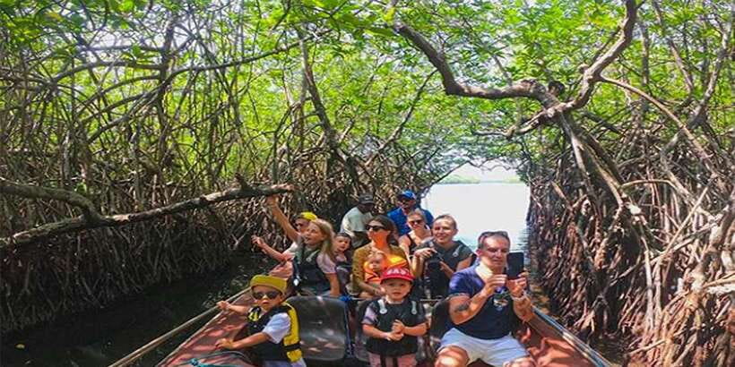 Mirissa/Weligama/Galle: Galle & Bentota Coastal Day Tour - South Coast Pickup to Madu Ganga: The Comfort-Focused Start