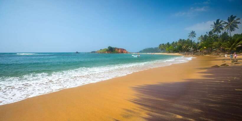 Mirissa/Weligama/Galle: Galle & Bentota Coastal Day Tour - Turtle Hatchery and Sea-Life Encounters: Up Close, Not Just a Photo