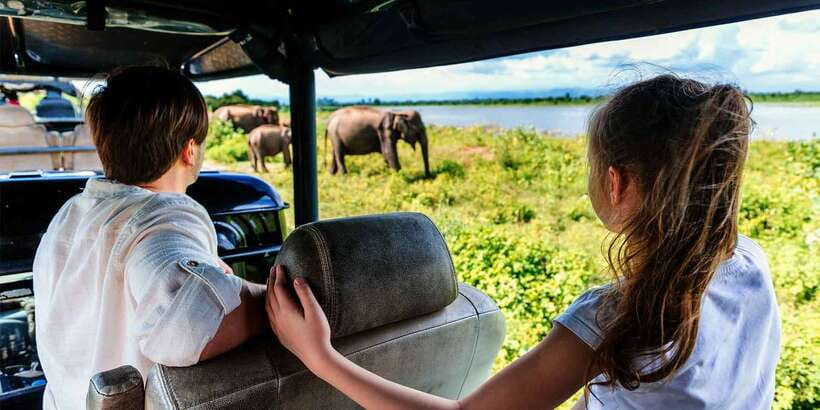 Mirissa/Weligama/Galle/Tangalle: Drop to Ella & Yala Safari - Price and value: where your $43 actually goes