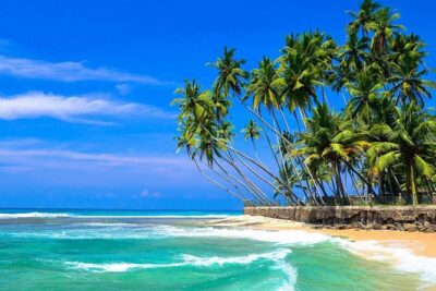 Mirissa/Weligama to Colombo Airport Private Taxi Transfer - What The 3-Hour Ride Usually Means For Your Day