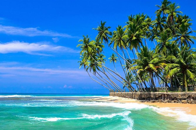 Mirissa/Weligama to Colombo Airport Private Taxi Transfer - What The 3-Hour Ride Usually Means For Your Day