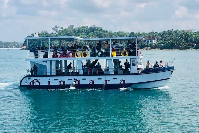 Mirissa Whale & Dolphin Watching Cruise with Geeth’s Crew - Key Highlights You’ll Actually Notice
