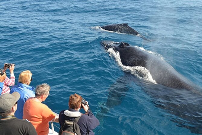Mirissa Whale & Dolphin Watching Cruise with Geeth’s Crew - Breakfast on Board: The Meal That Changes the Mood