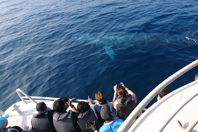 Mirissa Whale & Dolphin Watching Cruise with Geeth’s Crew - Getting to the Boat: Pickup, Harbour Start, and Group Size