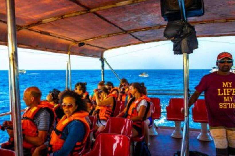 Mirissa: Whale Watching Cruise - Quick Take: What Matters Most on This Mirissa Whale Cruise
