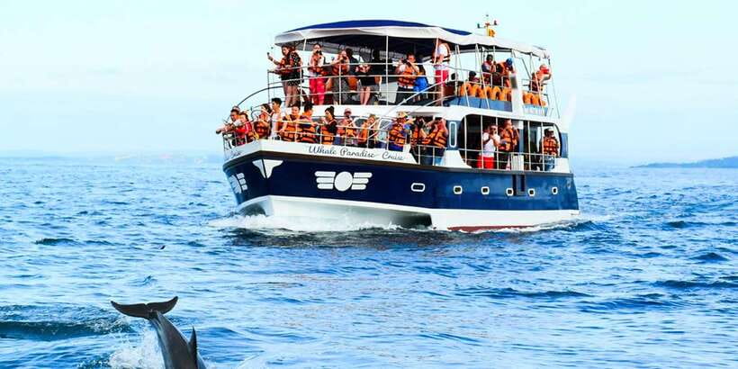 Mirissa: Whale Watching Tour - Getting to Mirissa Fisheries Harbor: Morning Logistics That Can Make or Break Your Day