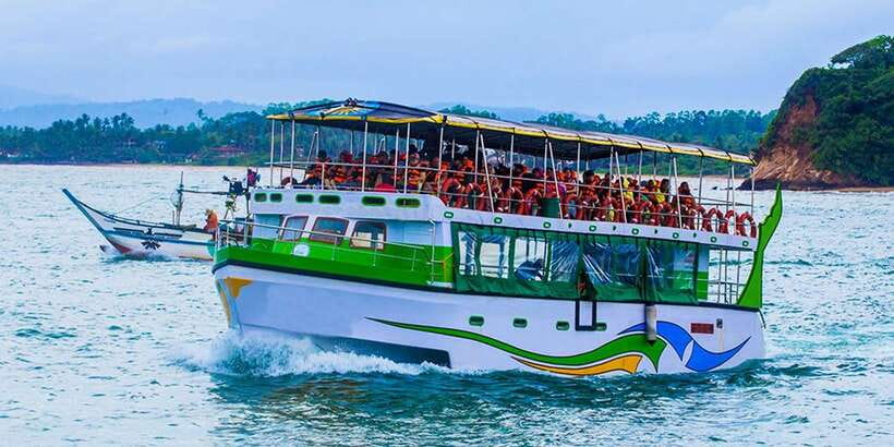 Mirissa: Whale Watching Tour - What You Might See: Blue, Sperm, and Fin Whales (Plus Dolphins and the Occasional Orca)