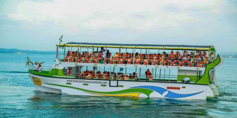 Mirissa: Whale Watching Tour - Onboard Comfort and Small Details: Breakfast, Water, and Hearing the Guide