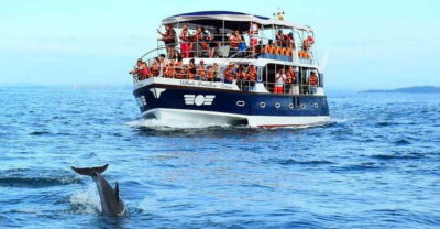 Mirissa Whale Watching, Tour A Once-in-a-Lifetime Experience - 3.5 hours on the water: what the timing really means