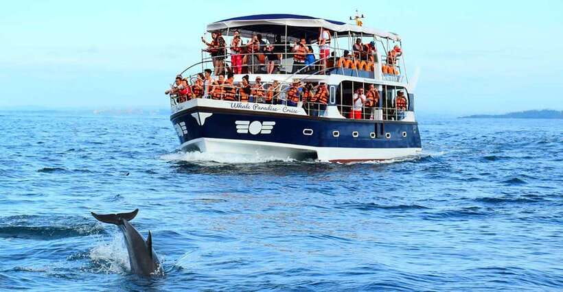 Mirissa Whale Watching, Tour A Once-in-a-Lifetime Experience - 3.5 hours on the water: what the timing really means