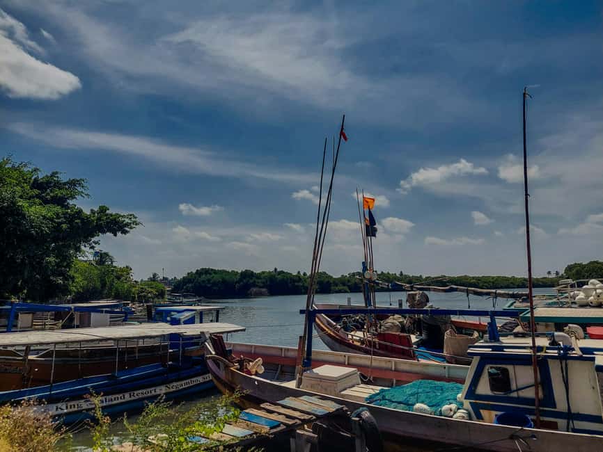 Negombo & Colombo: Full-Day Tour with Lunch - Gangaramaya Temple and Jami Ul-Alfar Mosque in Colombo