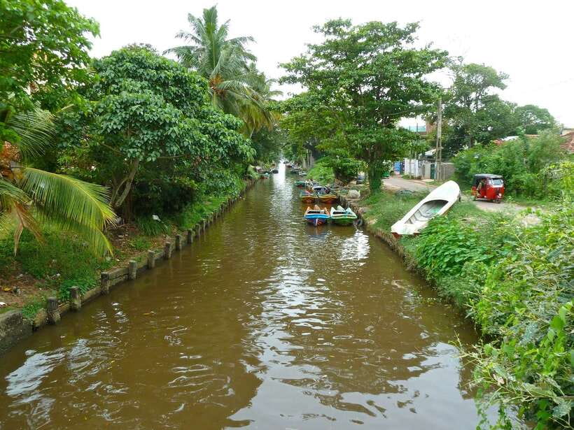 Negombo: Hamilton Canal to Colombo by Boat via Muthurajawela - Key things I’d zero in on