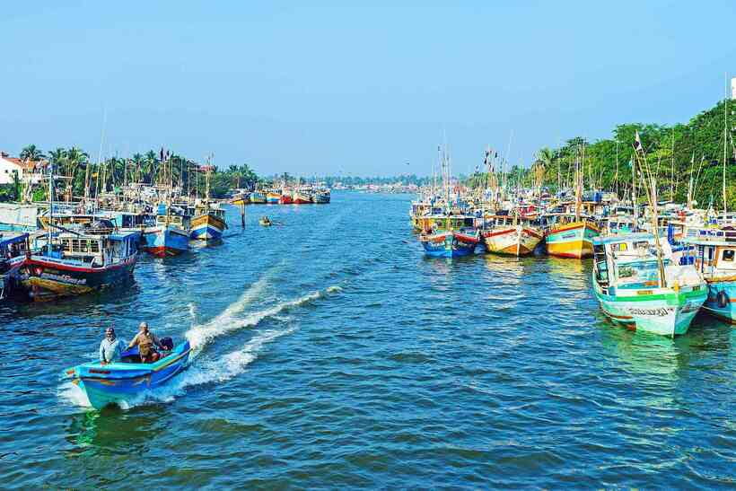 Negombo: Hamilton Canal to Colombo by Boat via Muthurajawela - Dutch Canal to Muthurajawela: why this route feels special