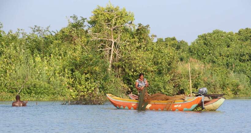 Negombo: Hamilton Canal to Colombo by Boat via Muthurajawela - The guiding: English explanations, practical spotting, and the Norman factor