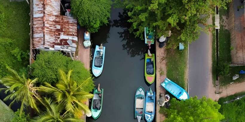 Negombo Heritage Walking Tour - King George Drive: The Ocean Side Between Fishing Work and Processing