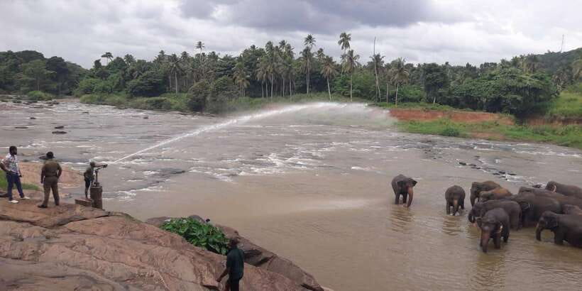 Negombo: Kandy and Pinnawala Elephant Orphanage Day Tour - The Negombo–Kandy–Pinnawala Route in Real Life