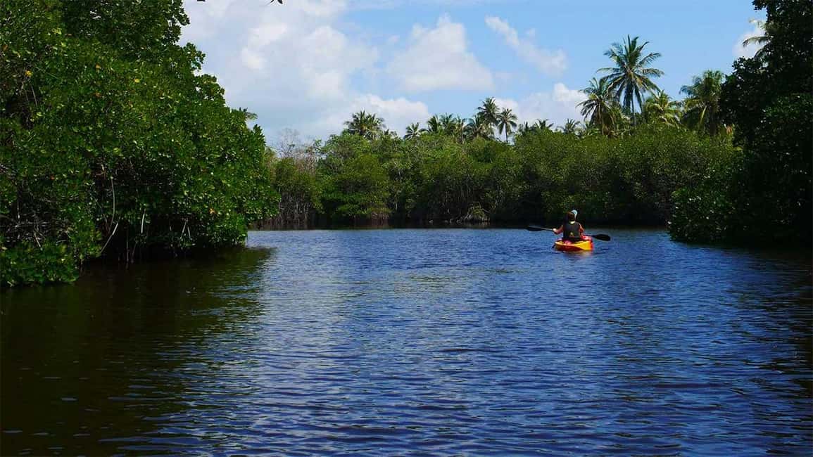 Negombo: Kayaking in the Lagoon - Key things I’d plan around