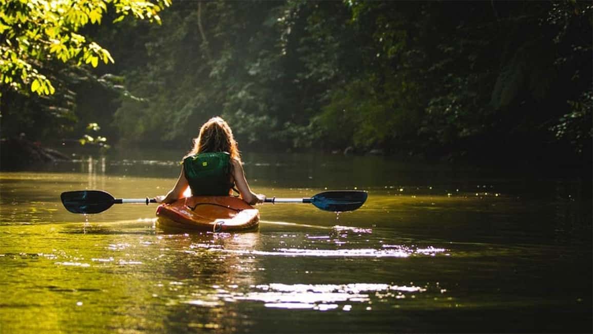 Negombo: Kayaking in the Lagoon - Birdwatching on the water: herons, kingfishers, and cormorants