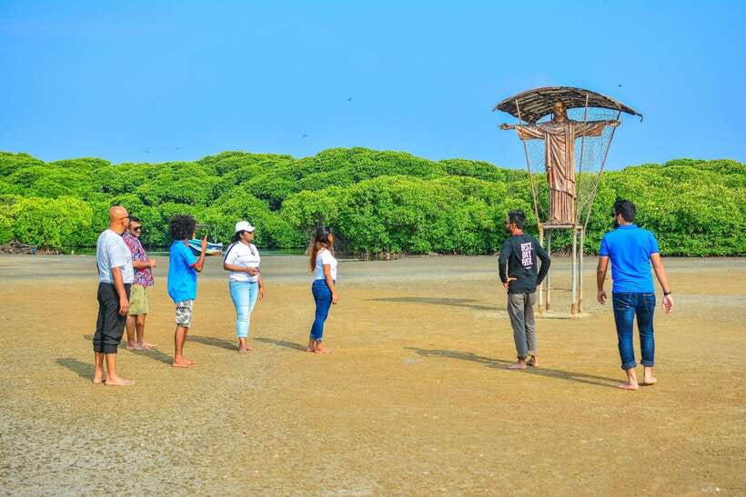 Negombo Lagoon (Mangrove ) Boat Excursion - Key Things I’d Block Time For