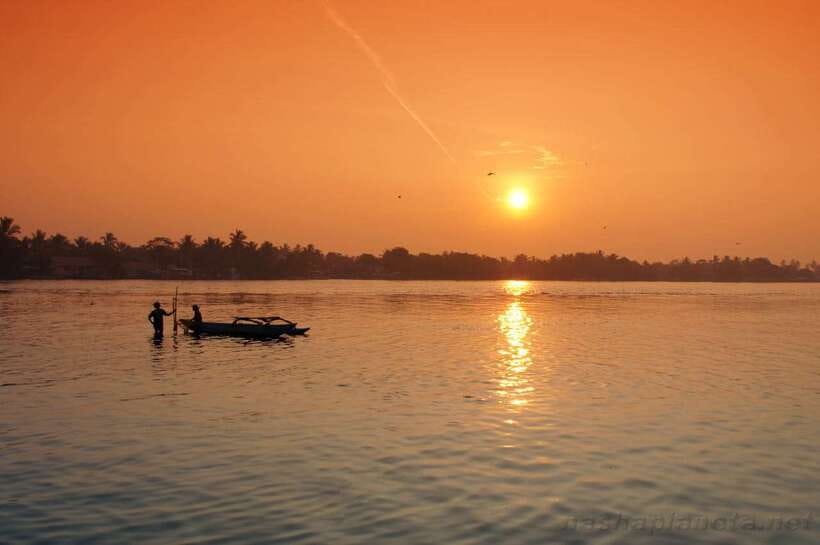Negombo Lagoon (Mangrove ) Boat Excursion - Where Negombo’s Backwaters Actually Feel Alive